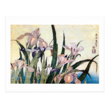杜若ときりぎりす, 北斎 Iris und Heuschrecke, Hokusai Postkarte