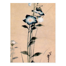 桔梗, 北斎 chinesische Glockenblume, Hokusai Ukiyo-e Postkarte