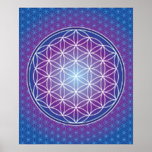 02 TRANSCENDENCE - Blume des Lebens Posterdruck