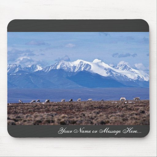 1002 Bereich: Karibu mit Gebirgshintergrund Mousepads