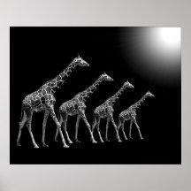 123B BÄUME B&W (30X24) PLAKATE