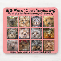 12 NIEDLICHE YORKIES - Mousepad fertigte besonders
