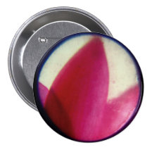 1784.edt buttons
