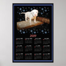 2009 Wand-Plakat-Kalender von Luna