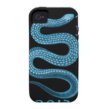 2013 iPhone 4/4S CASE