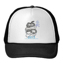 2013 KULTCAPS