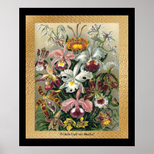 20 x 24 Schwarzes und Gold Plakat