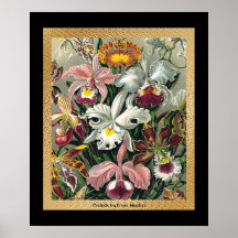 20 x 24 Schwarzes und Gold Posterdrucke