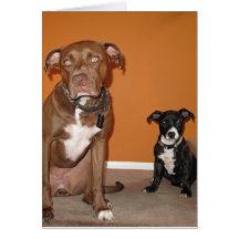 2 Hundekarte