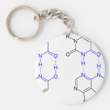2-Pyridone Chemikalie Basepair Schlüsselband