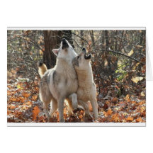 2wolves karte