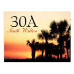 30A - SüdWalton Palme-Sonnenuntergang Postkarten