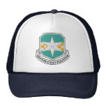 313th Radioforschungs-Bataillon DUI Retrokappe