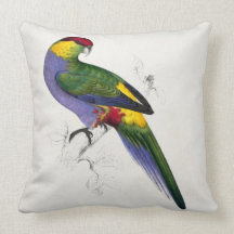 #31-Red-capped Parrakeetmann Kissen
