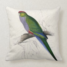 #32-red-capped Parrakeet Zierkissen