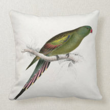 #38-Blossom-feathered Parrakeet Kissen