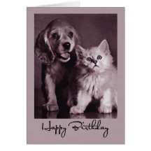 3915 Hund und Katzen-Geburtstag Grußkarte