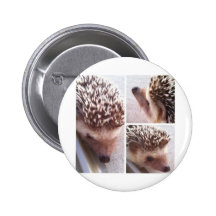 3 Nahaufnahmen, Spitze Anstecknadelbutton