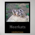 4 Meerkats, das links Plakat schaut