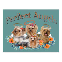 4 Yorkie perfekte Engelsgeschenke Postkarten