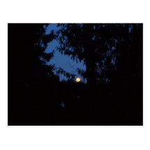 7. Februar 2012 - Vollmond - Eis-Mond Postkarten
