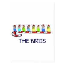 8 Budgies Postkarte