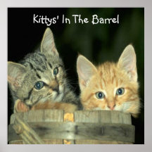 a, Kittys im Fass Plakatdruck