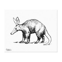 Aardvark Galerie Faltleinwand