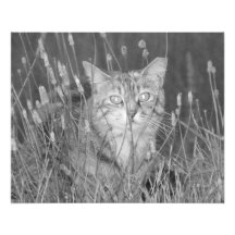 Abdeckung 2013 - B&W Foto