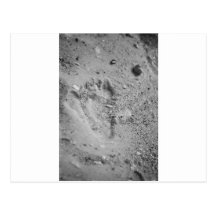 Abdrücke im Sand Postkarte