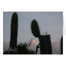 Abends-Kaktus Karte