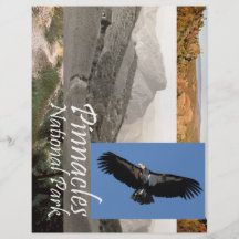 ABH Berggipfel NP Flyer