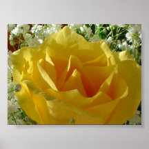 Abschluss-Blume Plakatdruck