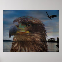 Abstrakte Adler-Leinwand Plakatdruck