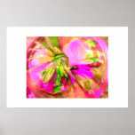 Abstrakter Glasdruck rosa Fuschia Rosen-Boro Posterdrucke