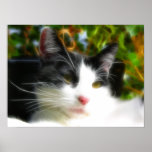 Abstraktes Fraktal-Katzen-Plakat