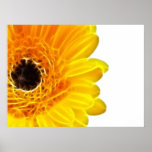 Abstraktes Gänseblümchen-Fraktal-Plakat