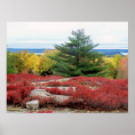 Acadia-Nationalpark Maine Poster
