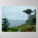 Acadia-Nationalpark Maine Posterdrucke