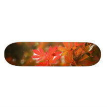 Acer-Blätter Skateboard Bretter