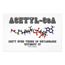 Acetyl-CoA denken nicht einmal an Metabolismus auß Druckpapier