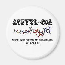 Acetyl-CoA denken nicht einmal an Metabolismus auß Magnete
