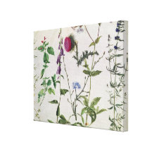 Acht Studien der wilden Blumen Leinwanddrucke