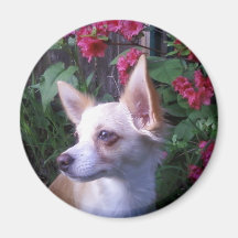 "Addieren Sie Ihr eigenes Foto-"    Magnet Kühlschrankmagnete
