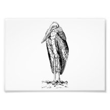 Adjutant Fotografische Drucke