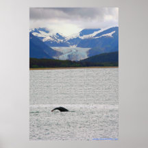 Adler-Gletscher-und Buckel-Schwanz-Plakat