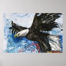 Adler im Flug