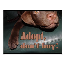 Adopt, don't buy! - fuxart postkarte