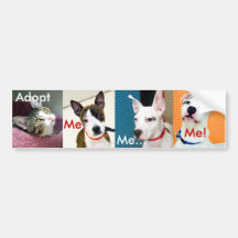 Adoptieren Sie ein Haustier Autosticker