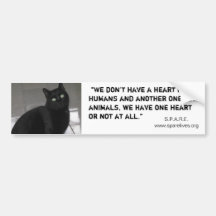 Adoptieren Sie ein Haustier Autosticker